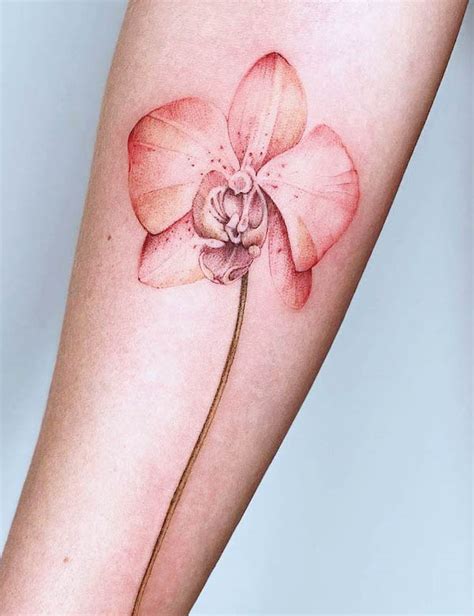 tatuaggio piccolo fiore|98 bellissimi tatuaggi con fiori e significato